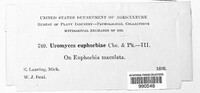 Image Associated With the Occurence